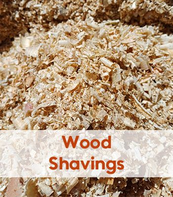 Wood Shavings